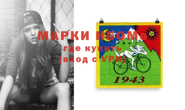 шишки Арсеньев