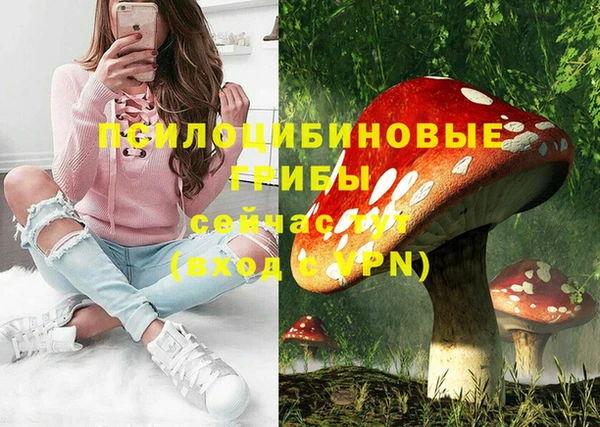 mix Алексин