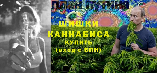 сатива Алексеевка