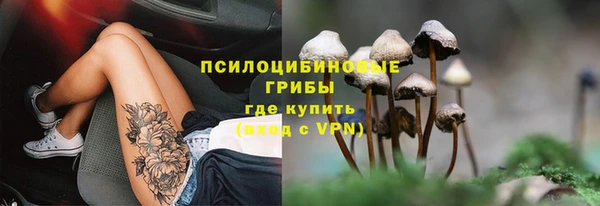 герыч Аркадак