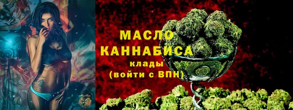 шишки Арсеньев