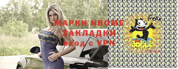 шишки Арсеньев