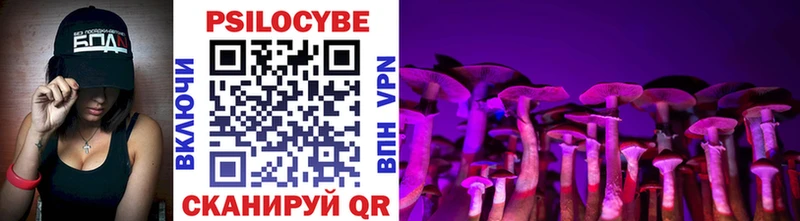 Псилоцибиновые грибы Cubensis  нарко площадка наркотические препараты  Волхов 