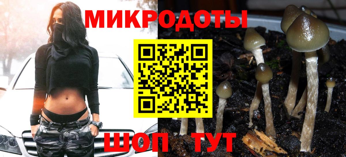 Псилоцибиновые грибы MAGIC MUSHROOMS  Вход с VPN  Волхов  Галлюциногенные грибы Cubensis 