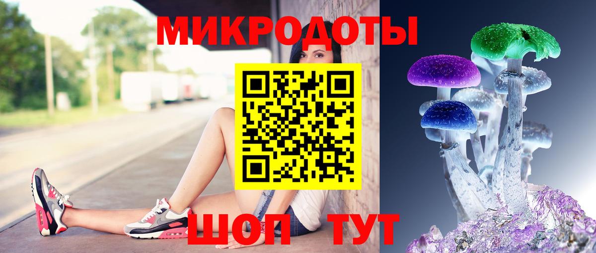 Галлюциногенные грибы мухоморы Волхов