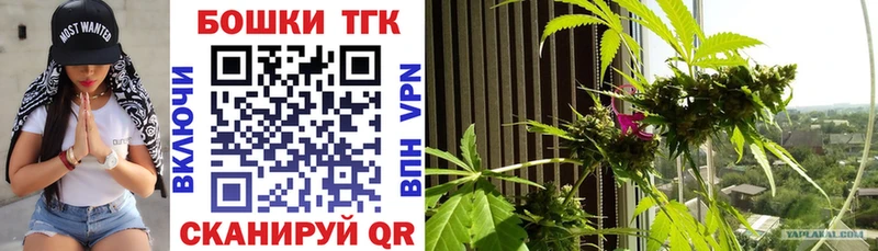 Шишки марихуана марихуана  Волхов 