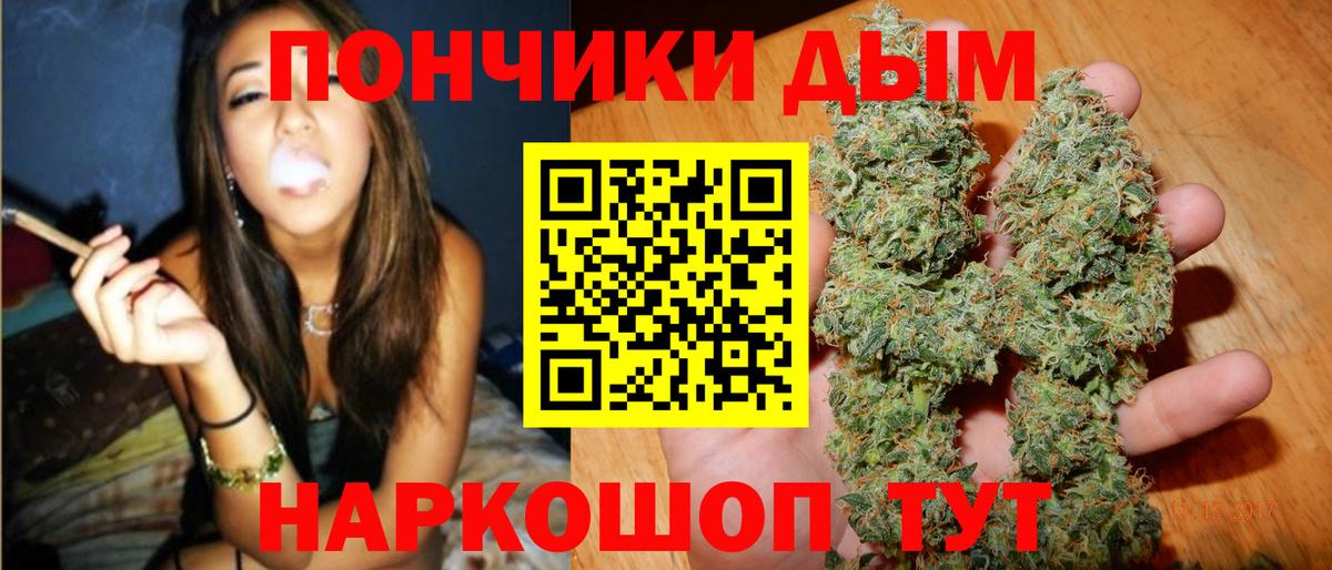 Шишки марихуана сатива Волхов